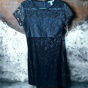 Emaline NWT SIZE 6 lace & velour dress